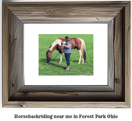 horseback riding near me in Forest Park, Ohio